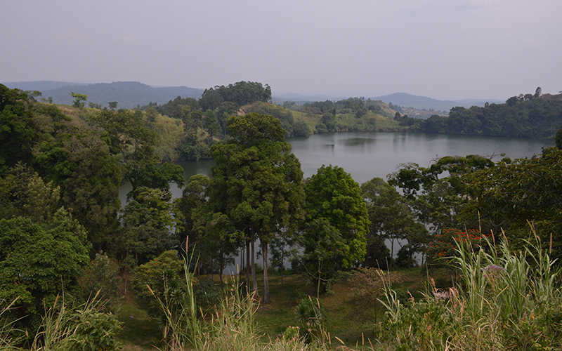 Lakefront cottages beside the forested Lake Nyamirima crater lake