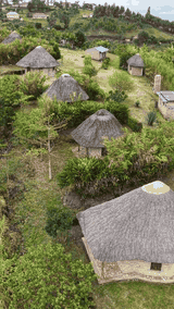 Good view of the cottages — Thatched cottages nestled in greenery