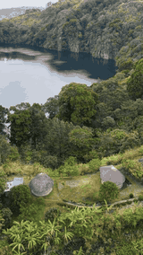 Side top view — lake, forest and cottages — Aerial-style view over the lake, forest and cottages