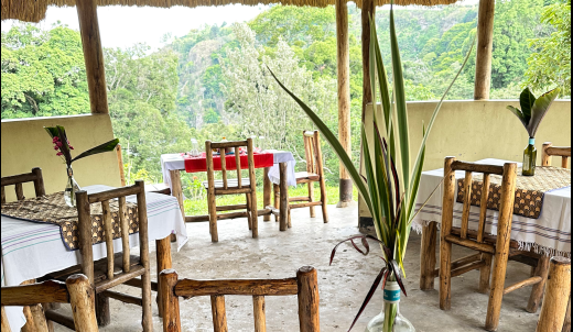 Open-air restaurant dining setup overlooking green forest
